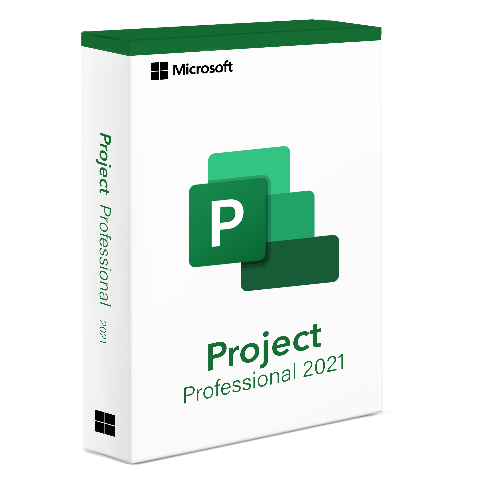 Project 2021 Professional Software - Project Management Tool