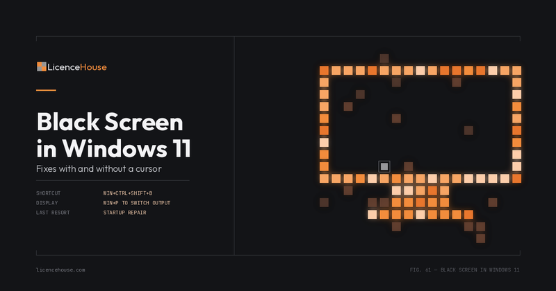 Override Screen Windows Windows 11 Black Screen Fix (With or Without Cursor)
