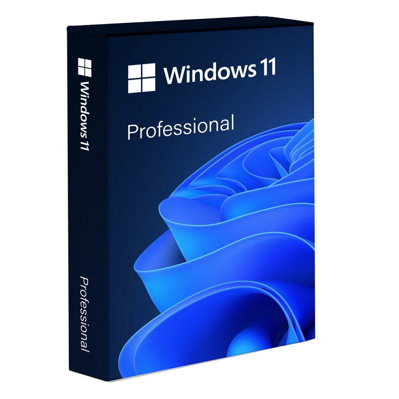 Windows 11 Professional